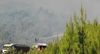 Balıkesir Gömeç'teki yangın 2'nci gününde