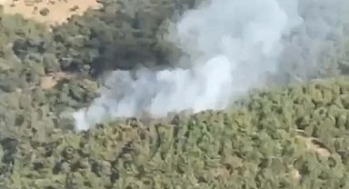 Balıkesir'de orman yangını