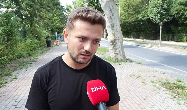 Beşiktaş'taki tarihi ağaçlara 'Çınar kanseri'ne karşı koruma çalışması: İlaçla tedavi yöntemi mümkün değil