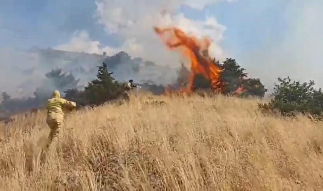 Bingöl'de ormanlık alanda çıkan örtü yangını söndürüldü