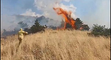 Bingöl'de ormanlık alanda çıkan örtü yangını söndürüldü