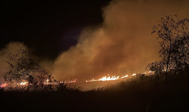 Bodrum'da maki ve otluk yangını