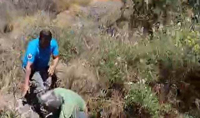 Bodrum'da otluk ve makilik alanda yangın