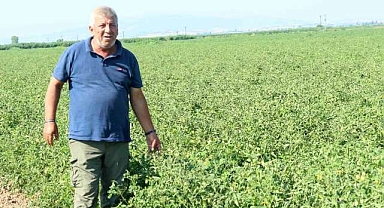 Bursa’da tarım için büyük tehlike!
