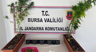 Bursa’da uyuşturucu operasyonu!
