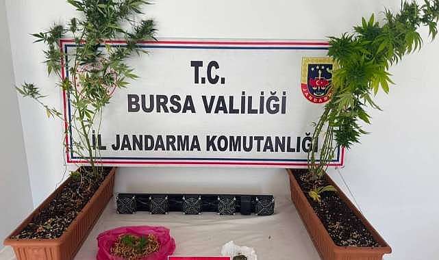 Bursa’da uyuşturucu operasyonu!