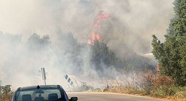 Bursa’da yangın paniği! Ormana sıçradı…