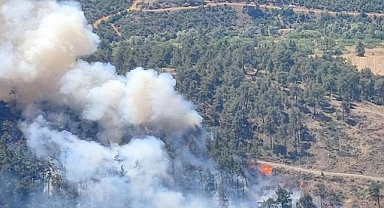 Bursa’daki yangınla ilgili yeni gelişme!