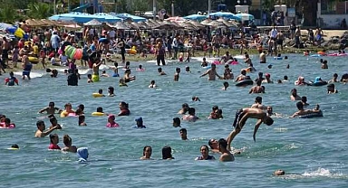 Bursa’nın sahillerinden sevindiren haber