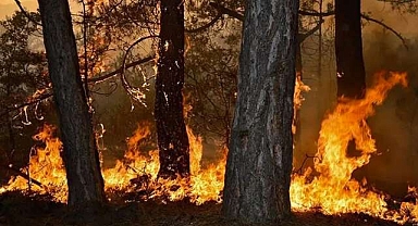 Bursa’ya kritik uyarı!