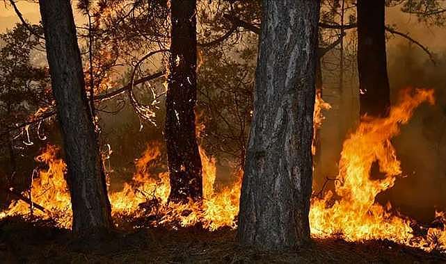 Bursa’ya kritik uyarı!