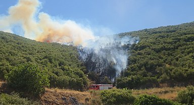Bursa'da maki yangını
