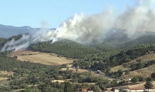 Çanakkale'de, Bayramiç'te de orman yangını çıktı