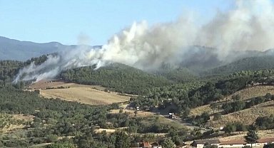Çanakkale'de, Bayramiç'te de orman yangını çıktı