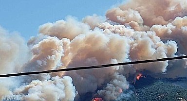 Çanakkale'de orman yangını