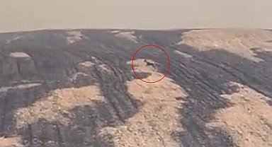 Çanakkale'deki orman yangınında yanan alanlar dronla görüntülendi