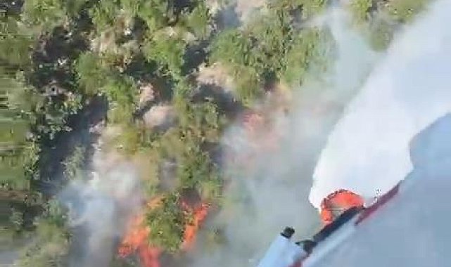 Çatalca'da orman yangını-1