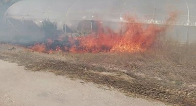 Çatalca'da otluk alanda çıkan yangın seraya sıçradı