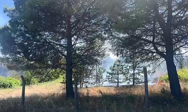Çatalca'da otluk alanda yangın - 2 Ek görüntüyle