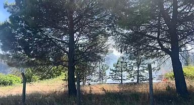 Çatalca'da otluk alanda yangın - 2 Ek görüntüyle