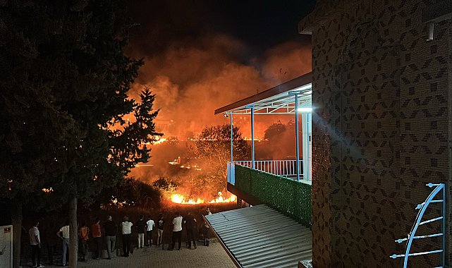 Dere kenarındaki ot yangını söndürüldü