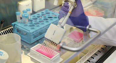 Diyabet hastalarına arı sütüyle umut olacaklar