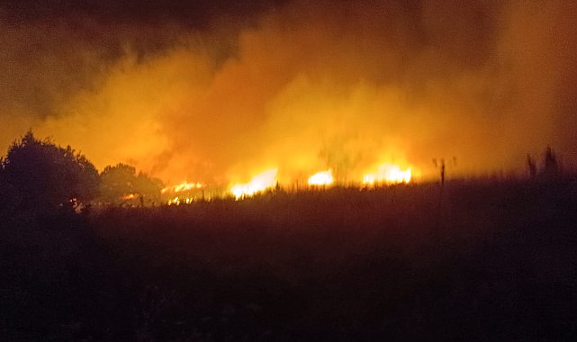 Diyarbakır'da örtü yangını; müdahale sürüyor