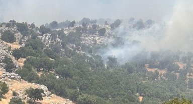 Diyarbakır'da örtü yangını