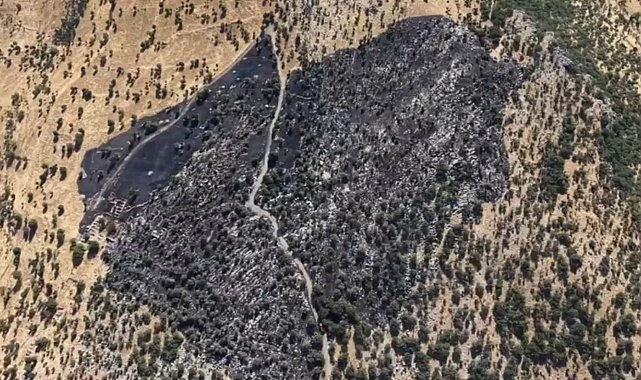 Diyarbakır'da örtü yangınında 50 dönümlük alan zarar gördü; Tahribat dronla görüntülendi