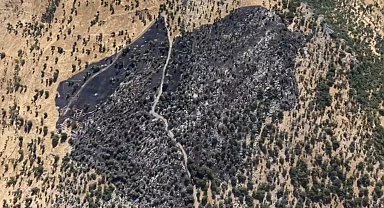 Diyarbakır'da örtü yangınında 50 dönümlük alan zarar gördü; Tahribat dronla görüntülendi