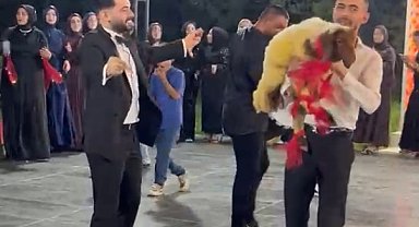 Düğünde damada kuzu hediye etti