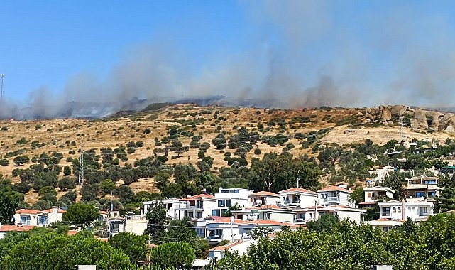 Foça'da maki yangını