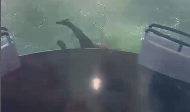 Haliç'te tur teknesinden denize düşerek yaşamını yitiren personelin yeni görüntüsü ortaya çıktı