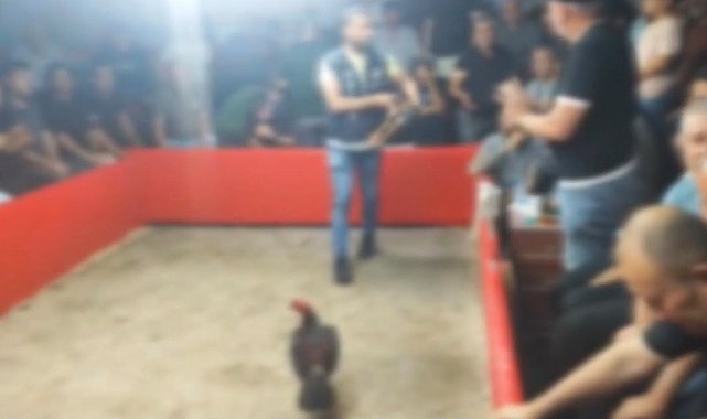 Hayvanları Koruma Derneği kurup horoz dövüştürdüler: 110 kişiye 1,2 milyon lira ceza