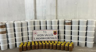 Hijyenik olmayan koşullarda üretilen tonlarca salçaya el konuldu