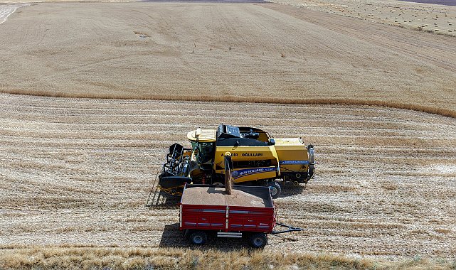 Hububatta, Cumhuriyet tarihinin en yüksek rekolte beklentisi