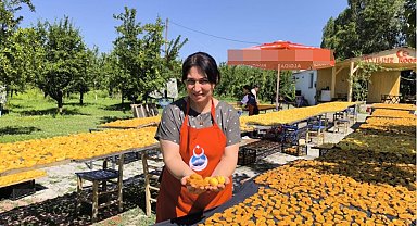 Iğdırlı kadınlar, kayısıyı güneşte kurutup ekonomiye kazandırıyor