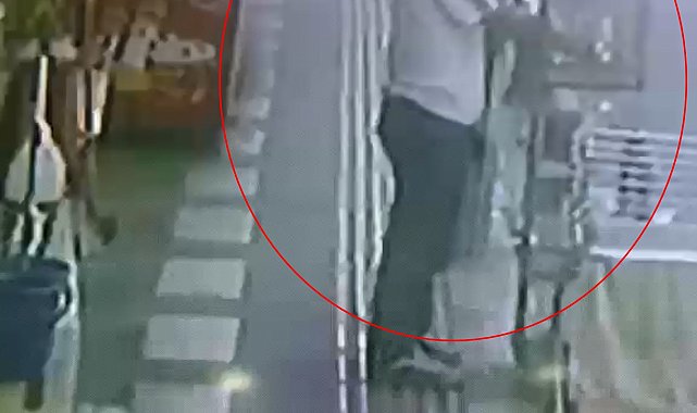 İş yerinin önünden papağanı çaldılar; o anlar kamerada