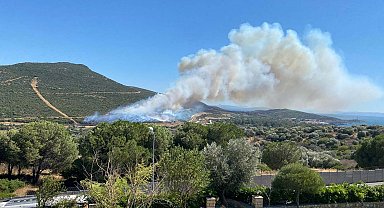 İzmir Foça'da orman yangını