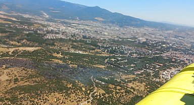 İzmir'de orman yangını