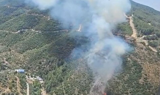 İzmir'de orman yangını