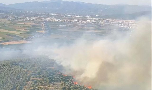 İzmir'de orman yangını
