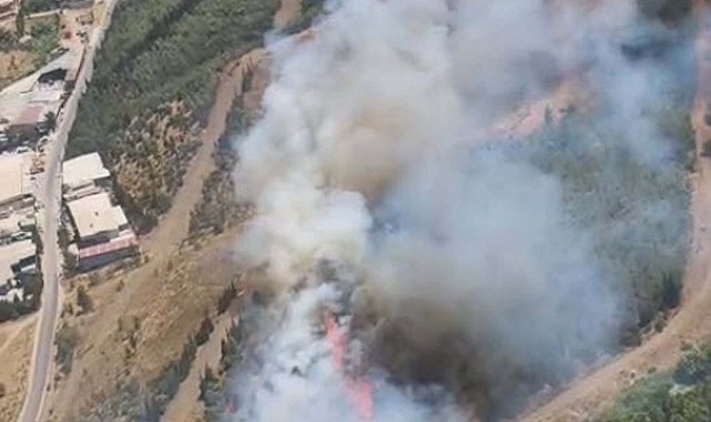 İzmir'de otluk alanda çıkan yangın, ormana sıçradı