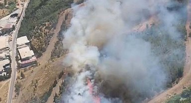 İzmir'de otluk alanda çıkan yangın, ormana sıçradı