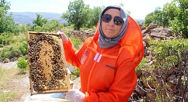 Kanserle mücadelesinde faydalı olduğunu öğrendiği arıcılık Zehra'nın mesleği oldu