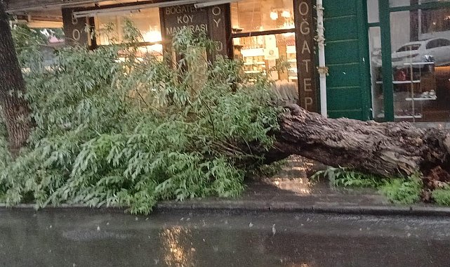 Kars'ta sağanak ve fırtına; yollar göle döndü, ağaç devrildi