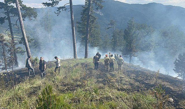 Kastamonu'da orman yangını