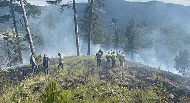 Kastamonu'da orman yangını
