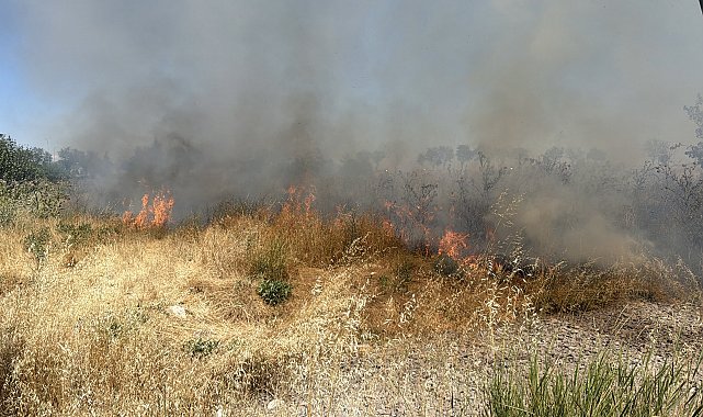 Kütahya'da otluk alanda yangın