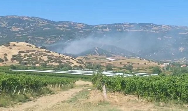 Manisa'da maki yangınında alevler ormana sıçradı